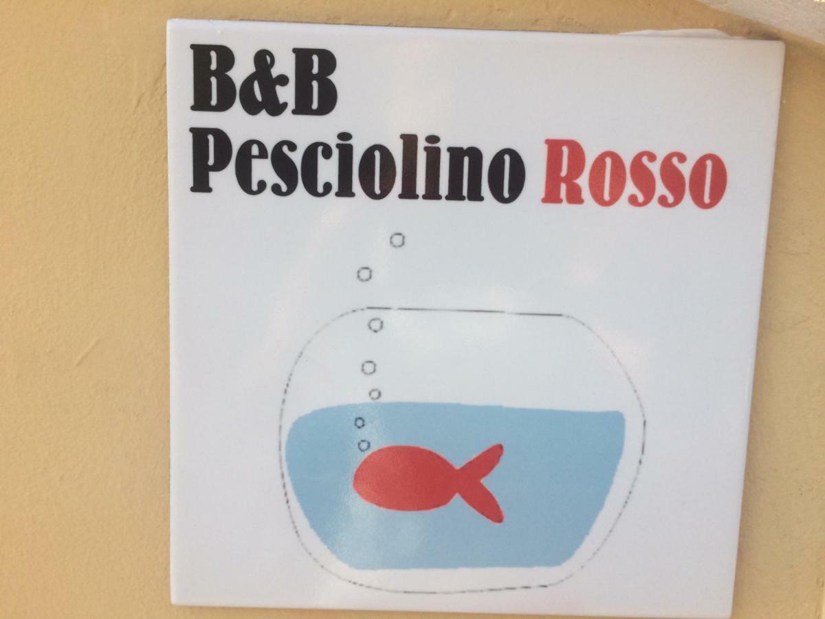 Pesciolino Rosso Bed & Breakfast